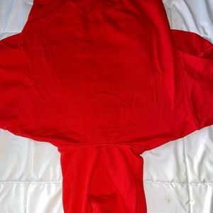 Alo Accolade hooded sweatshirt